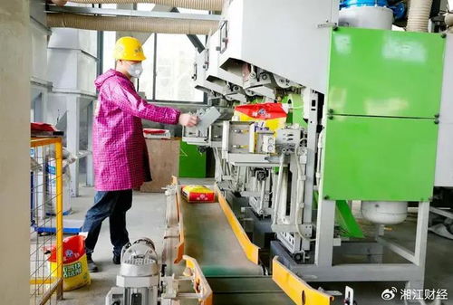 平江首屆貼磚大師技術交流會召開，聚焦環保砂漿技術開發與應用