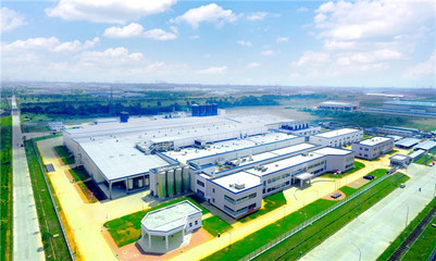 伊利攜手印尼，以科技守護紅樹林，共筑綠色未來